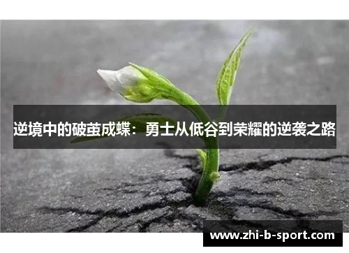 逆境中的破茧成蝶：勇士从低谷到荣耀的逆袭之路
