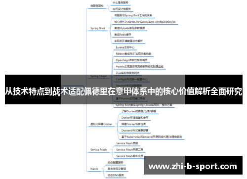 从技术特点到战术适配佩德里在意甲体系中的核心价值解析全面研究
